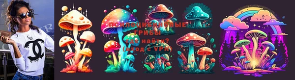 бошки Алексеевка