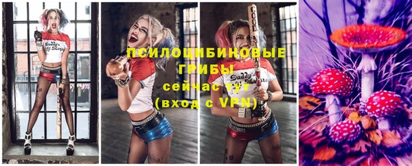 твердый Абинск