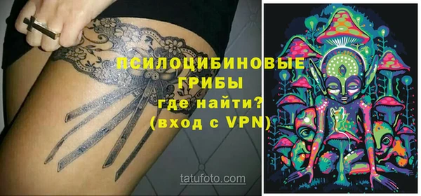 круглые Абаза
