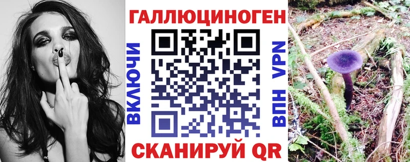 закладки  Заводоуковск  Галлюциногенные грибы Cubensis 