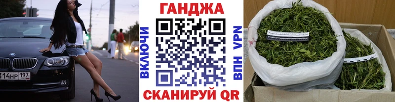 где купить наркотик  Заводоуковск  Шишки марихуана Amnesia 